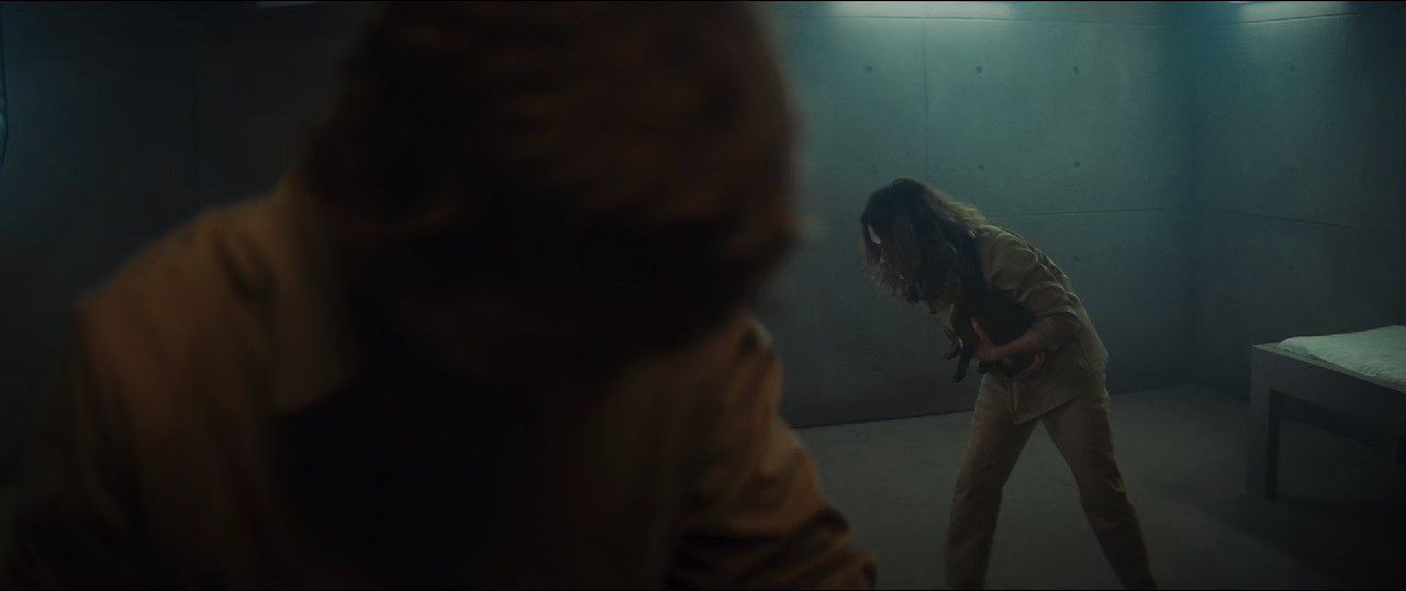 The Platform (2019) WEBRip Hindi + English 1080p 10bit HEVC DDP 5.1 MSub.mkv.0002